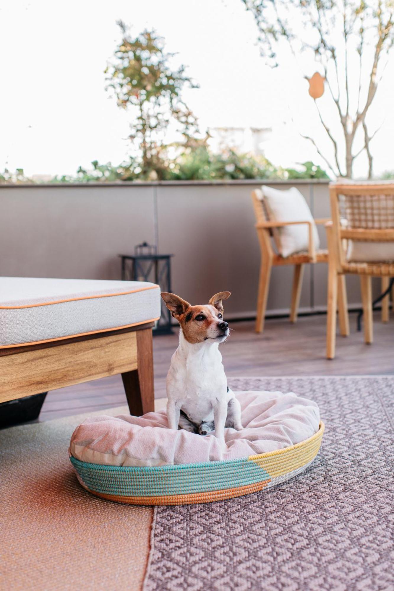 Hotel Brach - Evok Collection