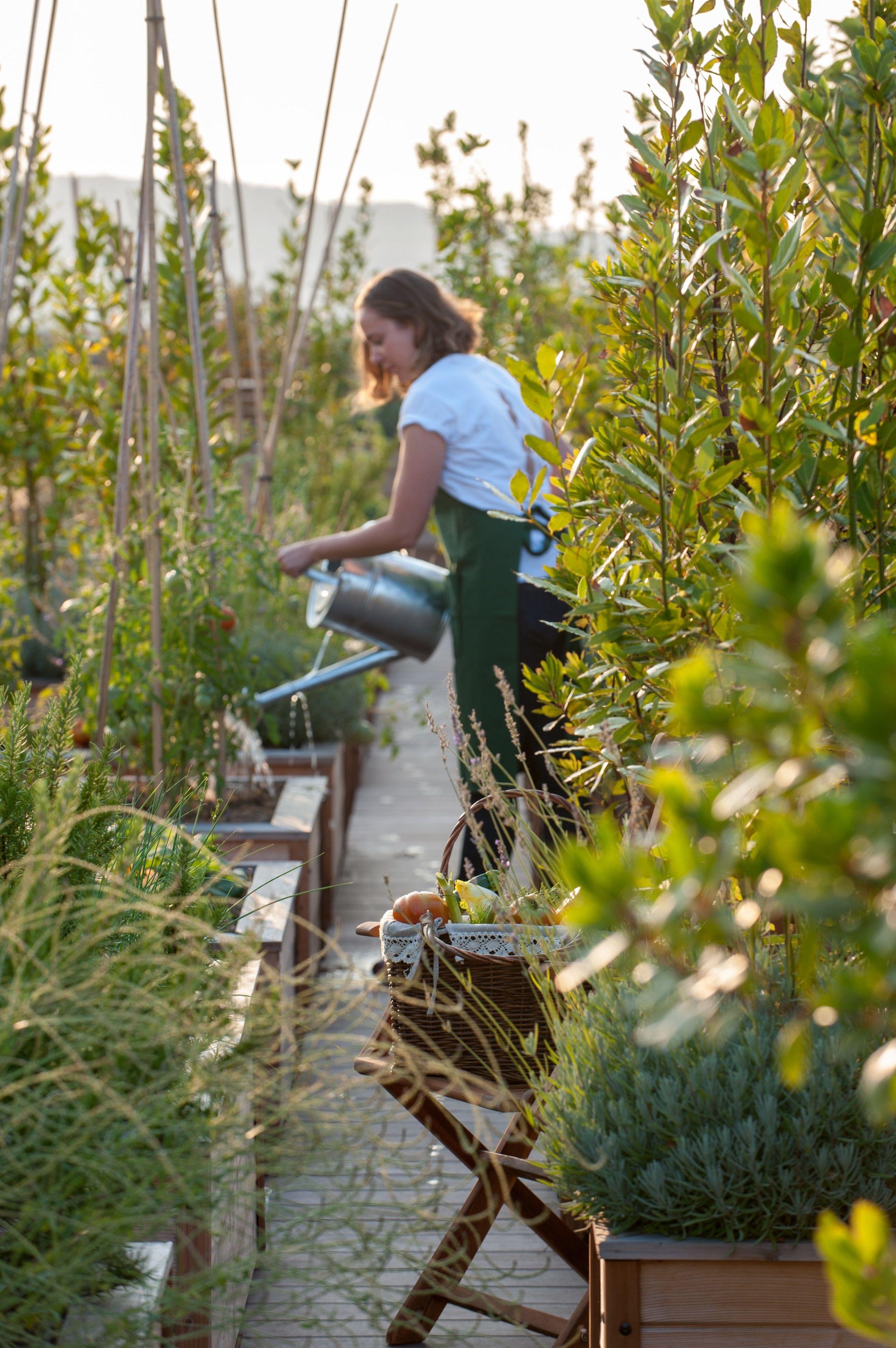 Brach - Evok Collection Hotel