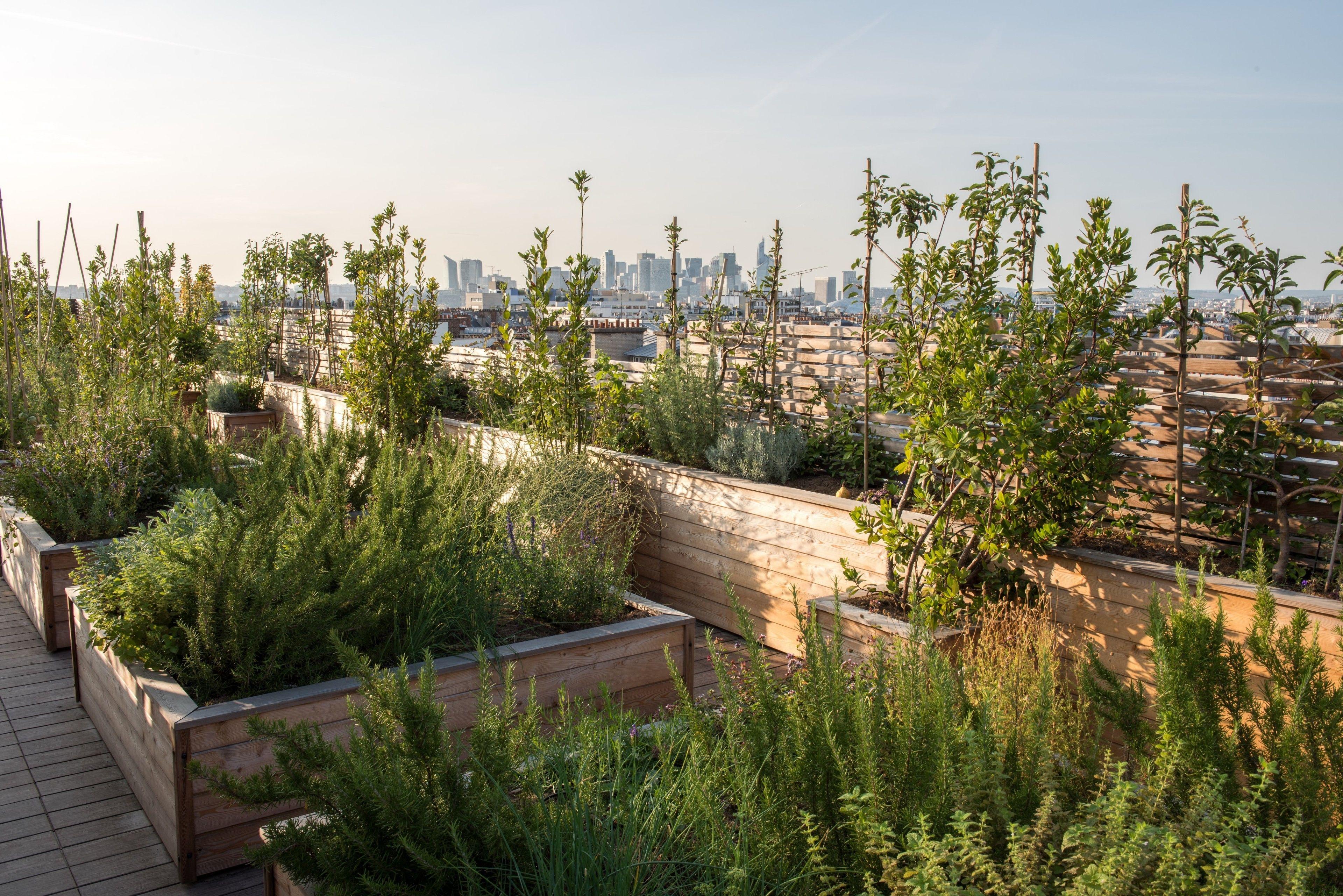 Brach - Evok Collection Parigi