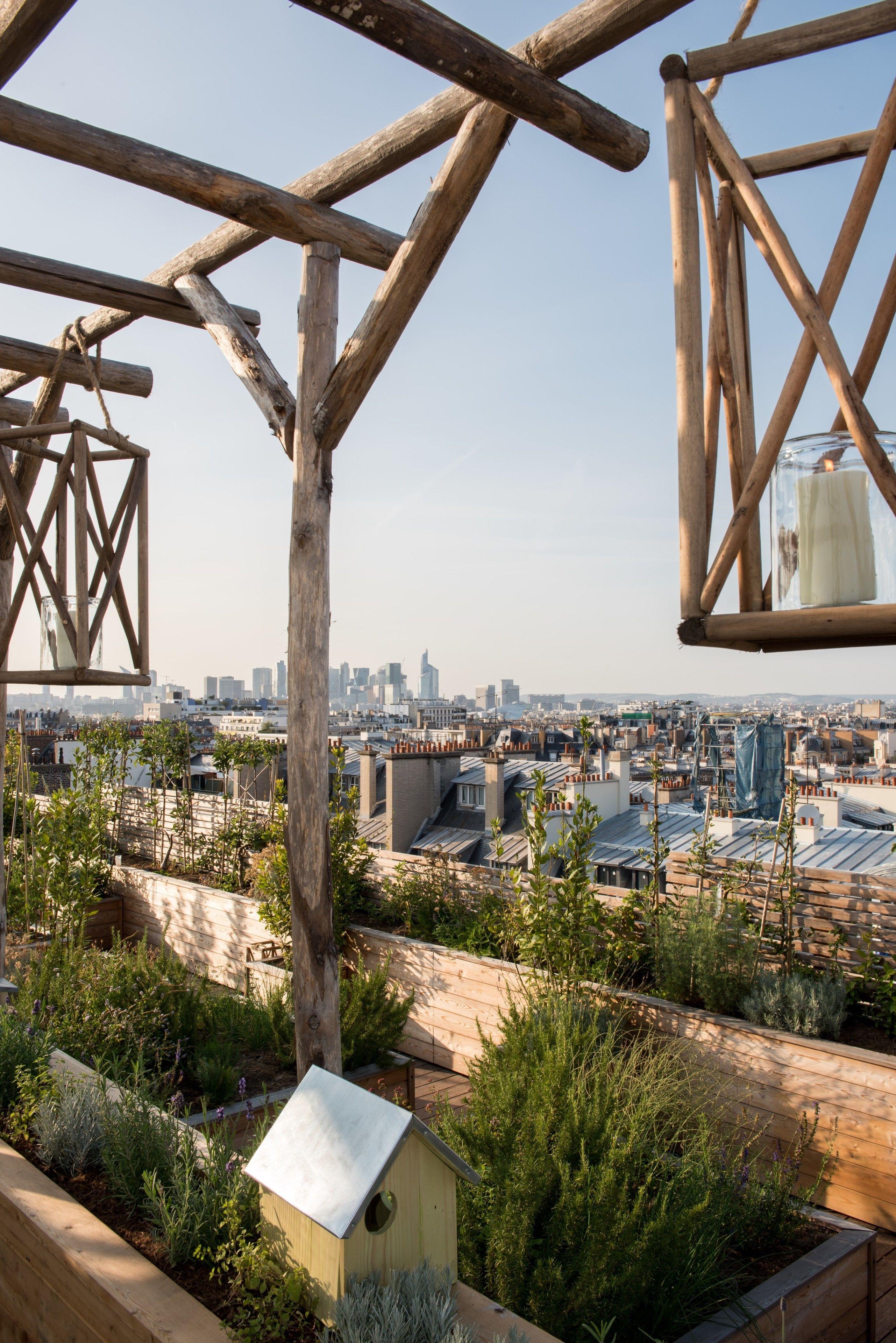 Brach - Evok Collection